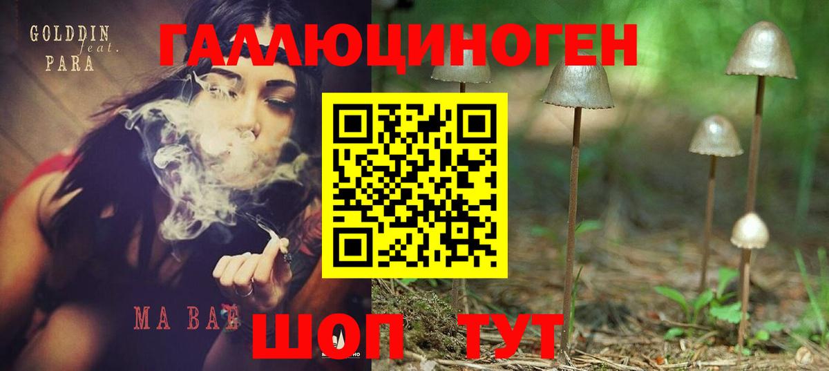 Галлюциногенные грибы мицелий  Вход с VPN  Узловая  Галлюциногенные грибы ЛСД 